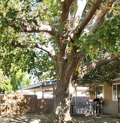 43737 Fig Ave W, Lancaster, CA 93534 photo 8