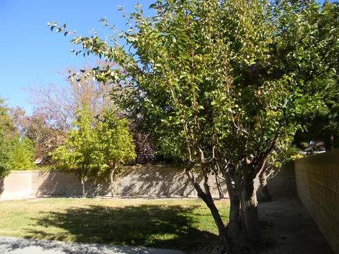 43136 Sugar St, Lancaster, CA 93536 photo 30