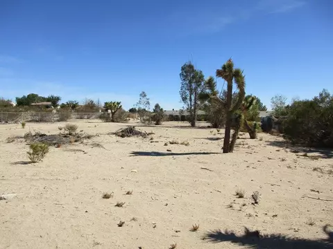 38637 154th St E, Palmdale, CA 93591 photo 48
