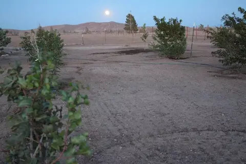 18160 Avenue E4 W, Lancaster, CA 93536 photo 23
