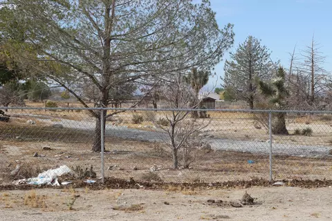 33349 167th St E, Llano, CA 93544 photo 4