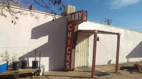 49001 100th St E, Lancaster, CA 93535 photo 5