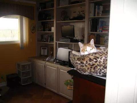 46047 20th St E, Lancaster, CA 93535 photo 6