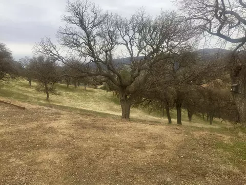 30251 Piebald Ct, Tehachapi, CA 93561 photo 9