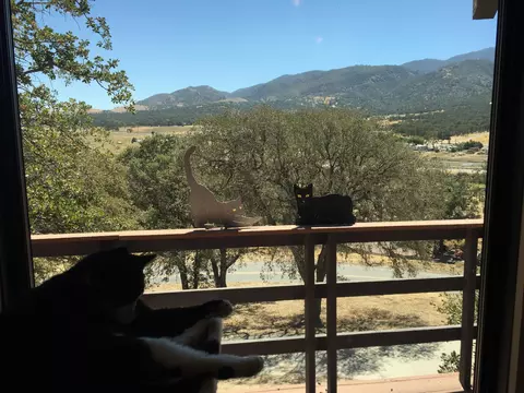 20253 Old Town Rd, Tehachapi, CA 93561 photo 5