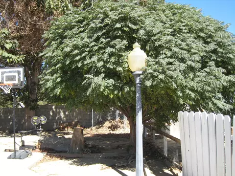 37406 96th St E, Littlerock, CA 93543 photo 17