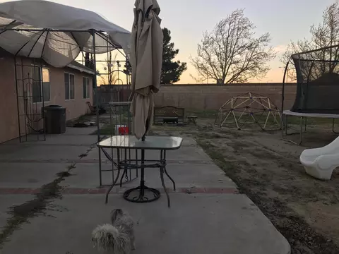 703 Trixis Ave, Lancaster, CA 93534 photo 19