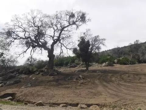 27750 Bear Valley Rd, Tehachapi, CA 93561 photo 55