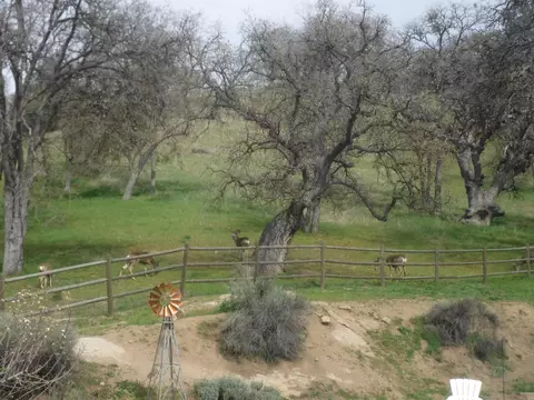 27750 Bear Valley Rd, Tehachapi, CA 93561 photo 54