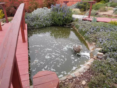 22008 Mccarthy Dr, Tehachapi, CA 93561 photo 16