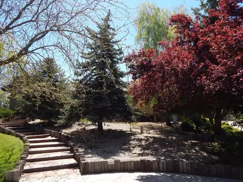 24581 Willow Pass Dr, Tehachapi, CA 93561 photo 37