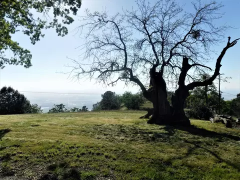 28421 Deertrail Dr, Tehachapi, CA 93561 photo 32