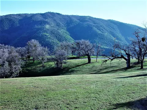 28421 Deertrail Dr, Tehachapi, CA 93561 photo 41