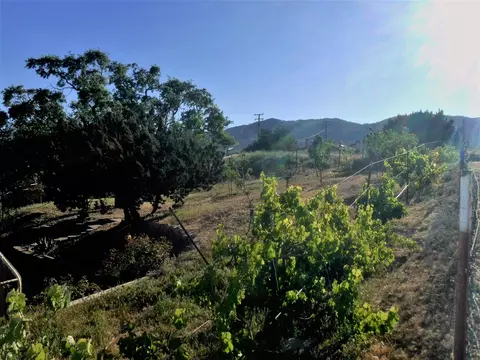 22909 Monroe Ln, Tehachapi, CA 93561 photo 32