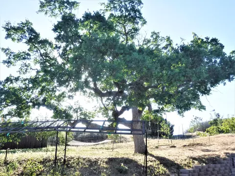 22909 Monroe Ln, Tehachapi, CA 93561 photo 26