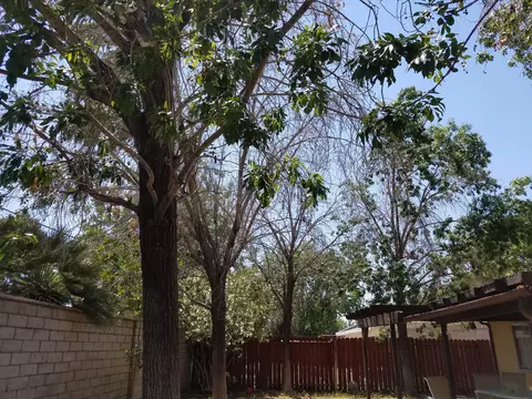 1054 Lightcap St, Lancaster, CA 93535 photo 8