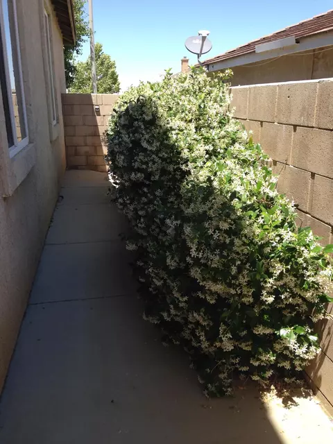 3946 Sunkist St, Palmdale, CA 93551 photo 40