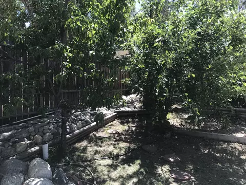 38775 Juniper Tree Rd, Palmdale, CA 93551 photo 21