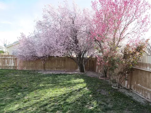 2632 Lumber St W, Lancaster, CA 93536 photo 20