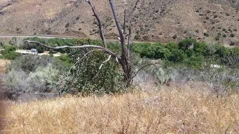 6864 Soledad Canyon Rd, Acton, CA 93510 photo 6