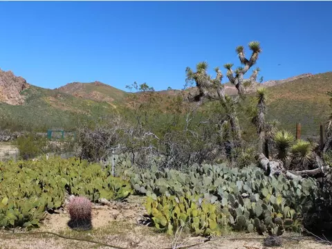 3585 Backus Rd, Mojave, CA 93501 photo 8
