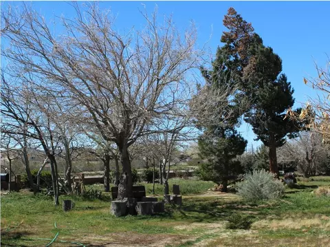 3585 Backus Rd, Mojave, CA 93501 photo 10