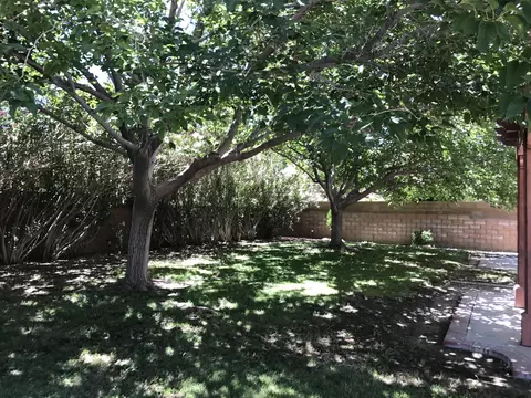 44336 Soft Ave, Lancaster, CA 93536 photo 23