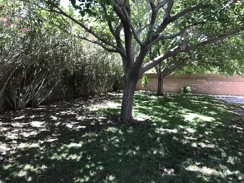 44336 Soft Ave, Lancaster, CA 93536 photo 24