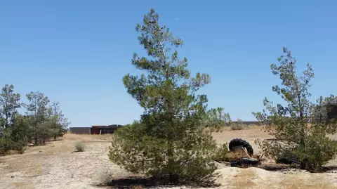 36024 42nd St E, Palmdale, CA 93552 photo 16