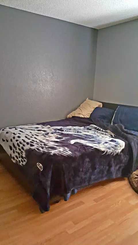 43921 Comstock Ave, Lancaster, CA 93535 photo 10