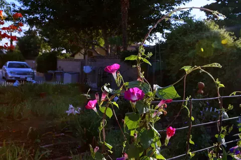 42431 8th St E, Lancaster, CA 93535 photo 57