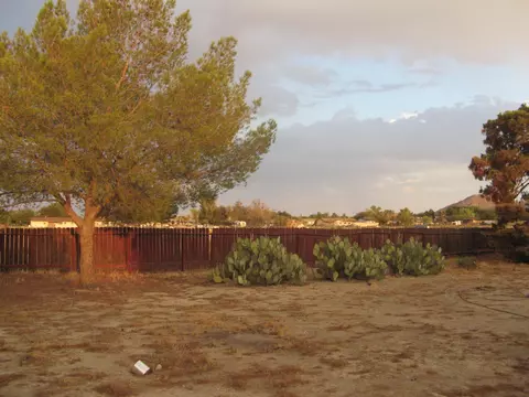 40716 154th St E, Lancaster, CA 93535 photo 14