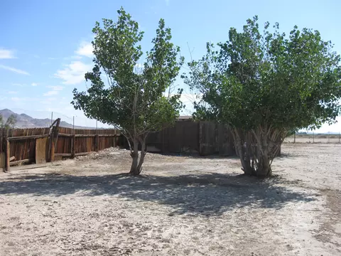 41700 159th St E, Lancaster, CA 93535 photo 5