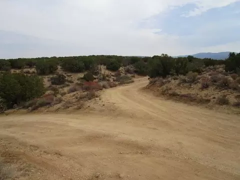 30215 185th St E, Llano, CA 93544 photo 10