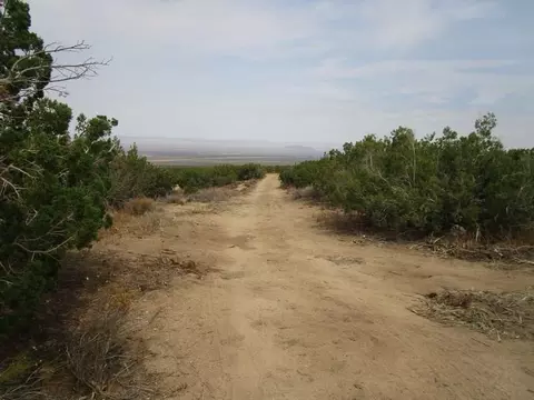 30215 185th St E, Llano, CA 93544 photo 8