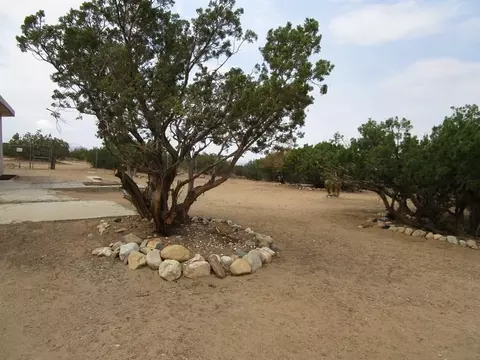 30215 185th St E, Llano, CA 93544 photo 4