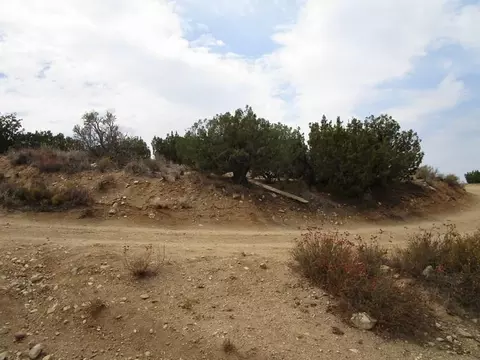 30215 185th St E, Llano, CA 93544 photo 11