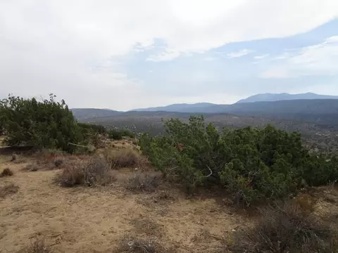 30215 185th St E, Llano, CA 93544 photo 7