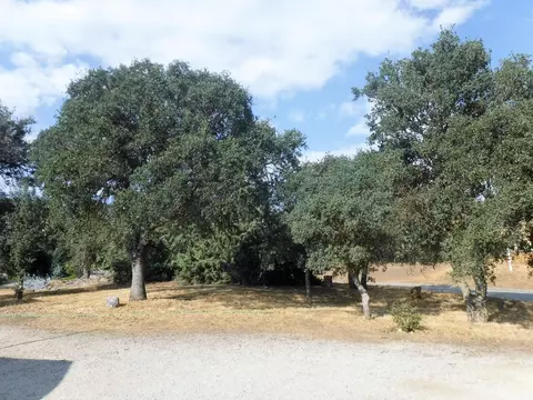 19141 Jacks Hill Rd, Tehachapi, CA 93561 photo 23