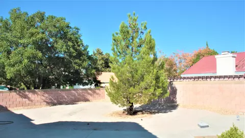 44246 Soft Ave, Lancaster, CA 93536 photo 19