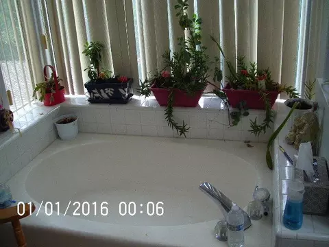 43740 Birchtree Ave, Lancaster, CA 93534 photo 9