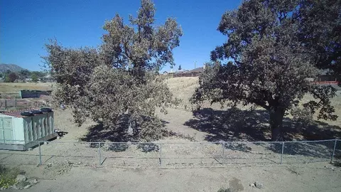19513 Moon Dr, Tehachapi, CA 93561 photo 29