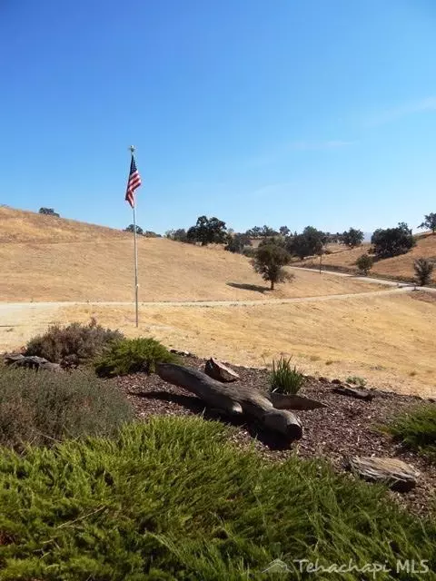 30951 Dapple Grey Ct, Tehachapi, CA 93561 photo 69