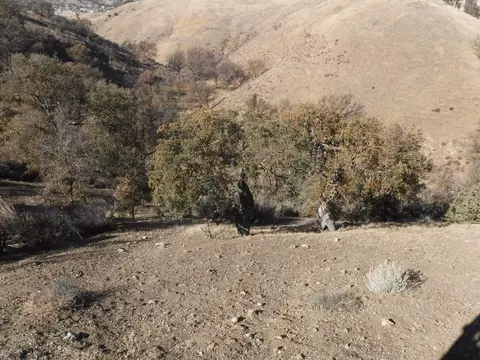 23009 Monroe Ln, Tehachapi, CA 93561 photo 25