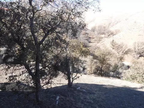 23009 Monroe Ln, Tehachapi, CA 93561 photo 26