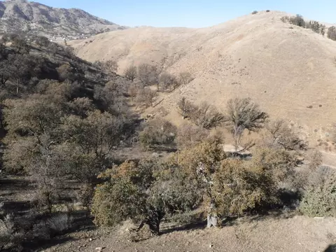 23009 Monroe Ln, Tehachapi, CA 93561 photo 27