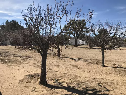 43027 W 41st St, Lancaster, CA 93536 photo 41