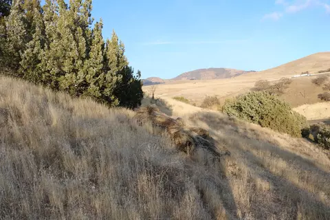 19404 Lookout Pl, Tehachapi, CA 93561 photo 22