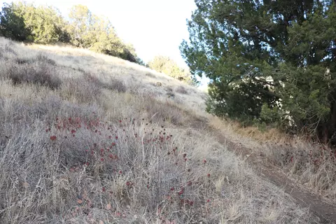 19404 Lookout Pl, Tehachapi, CA 93561 photo 19