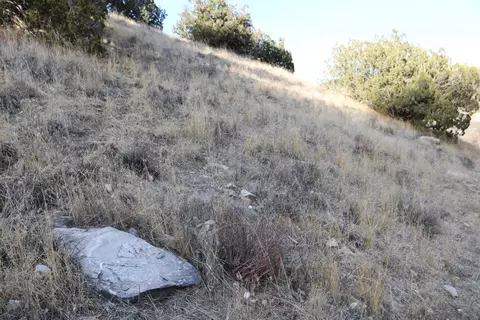 19404 Lookout Pl, Tehachapi, CA 93561 photo 18
